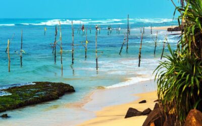 Sri Lanka vs. Maldives: A Honeymooner’s Paradise Showdown